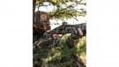 Vortex Viper Shotgun Enclosed Micro Red Dot Mossy Oak Bottomland 3 MOA DOT thumbnail