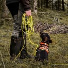 Rexa Sporline Neon 15 m thumbnail