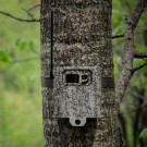 SpyPoint Sikkerhetsboks i stål - for alle viltkameraer i LINK-MICRO-serien thumbnail