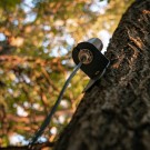 SpyPoint Long Range Cellular Antenna, Signfalforsterker thumbnail