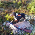 Jaktvision GPS-Vest for hundepeiler, passer Garmin og Tracker thumbnail