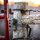 SpyPoint FLEX-M Viltkamera 2pk av vårt mest solgte viltkamera noensinne, (100 bilder gratis pr kamera, pr.mnd!) thumbnail