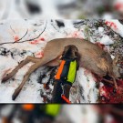 Jaktvision GPS-Vest for hundepeiler, passer Garmin og Tracker thumbnail