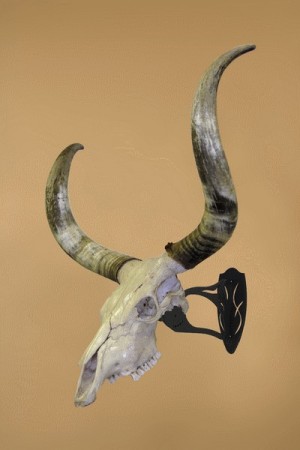 Skull Hooker trofeoppheng magnum, sort